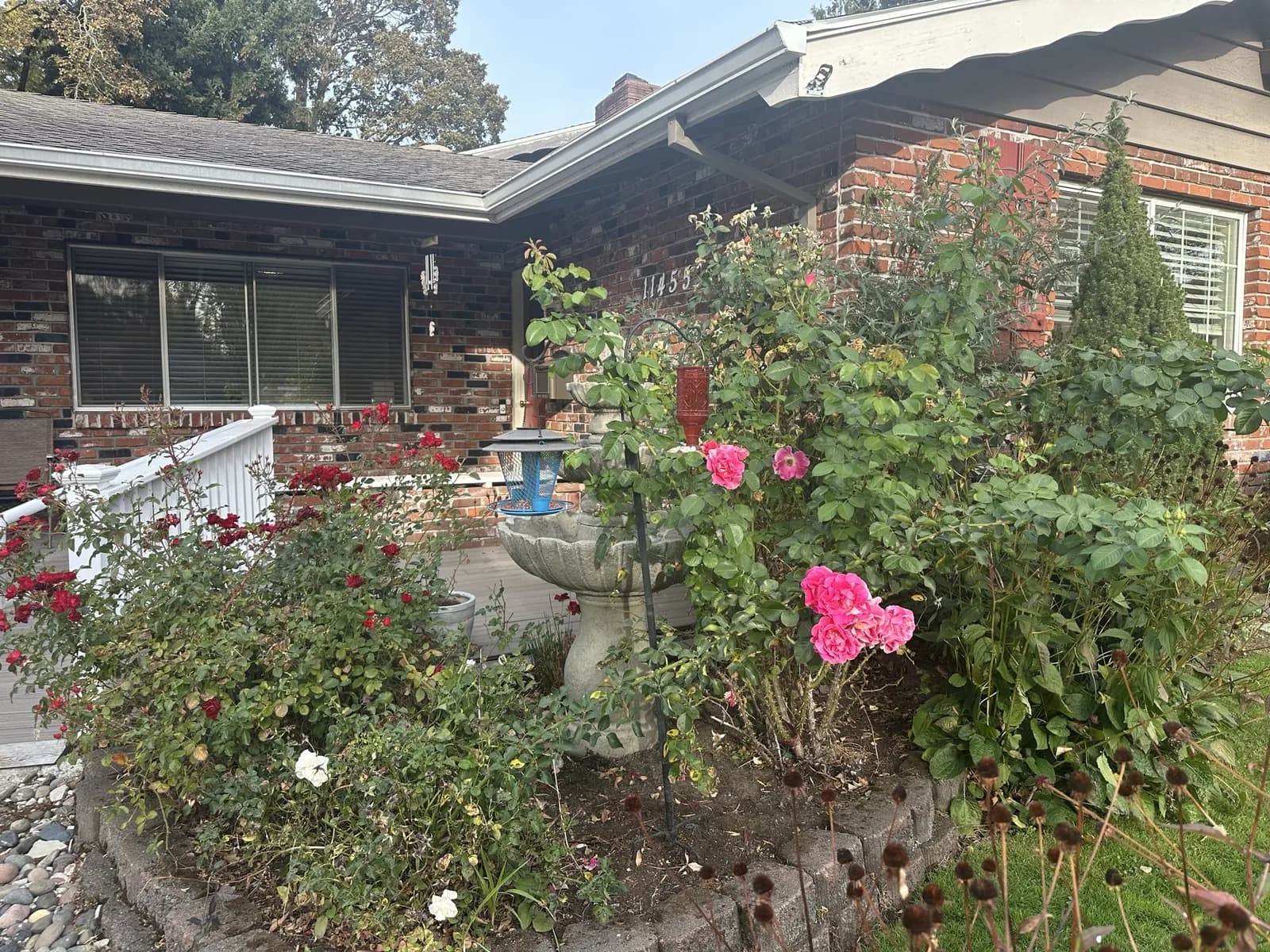 Rose bushes and a small fountain along the brick front porch at Angel Light.