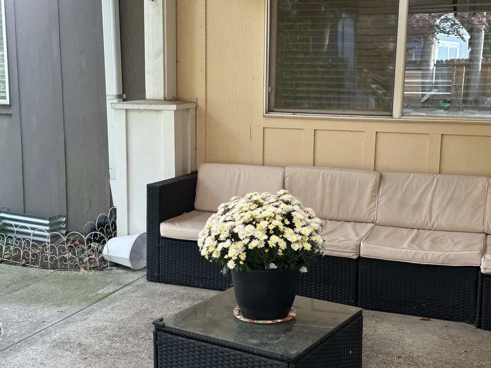 Cushioned outdoor sofa and a pot of white flowers on Angel Light’s covered patio.